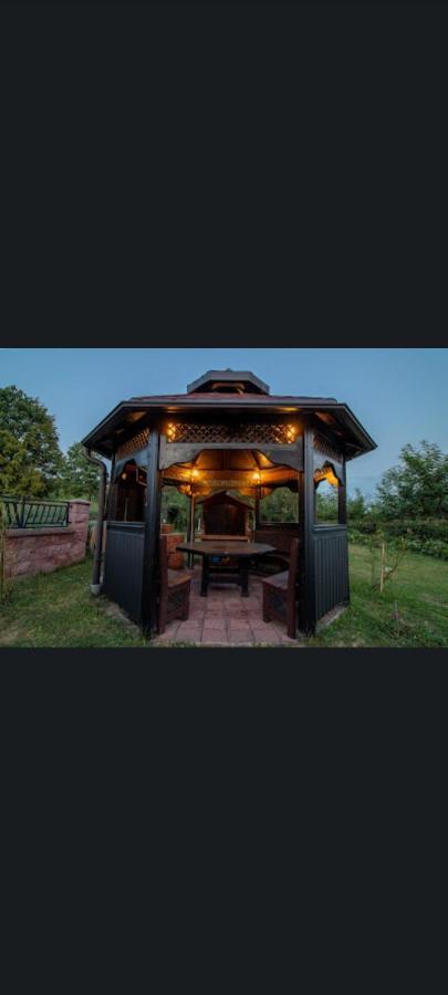 Ferienhaus Vienna Rem Prokosovici المظهر الخارجي الصورة