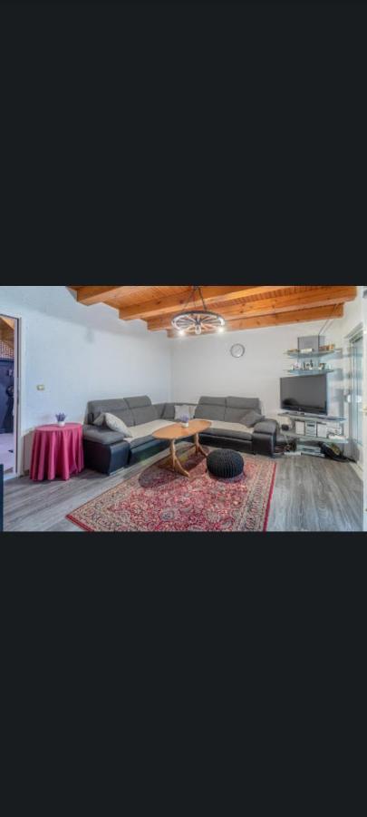 Ferienhaus Vienna Rem Prokosovici المظهر الخارجي الصورة